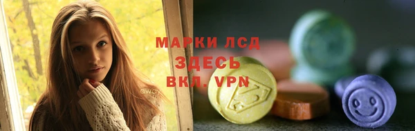 дживик Кинешма