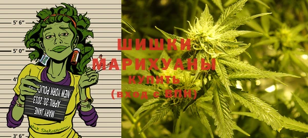 дживик Кинешма