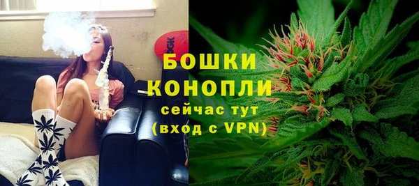 дживик Кинешма