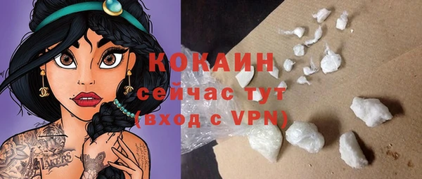 дживик Кинешма