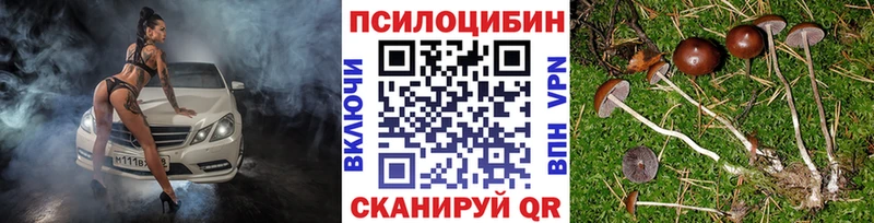 Галлюциногенные грибы Cubensis  Купить где  Полярные Зори 